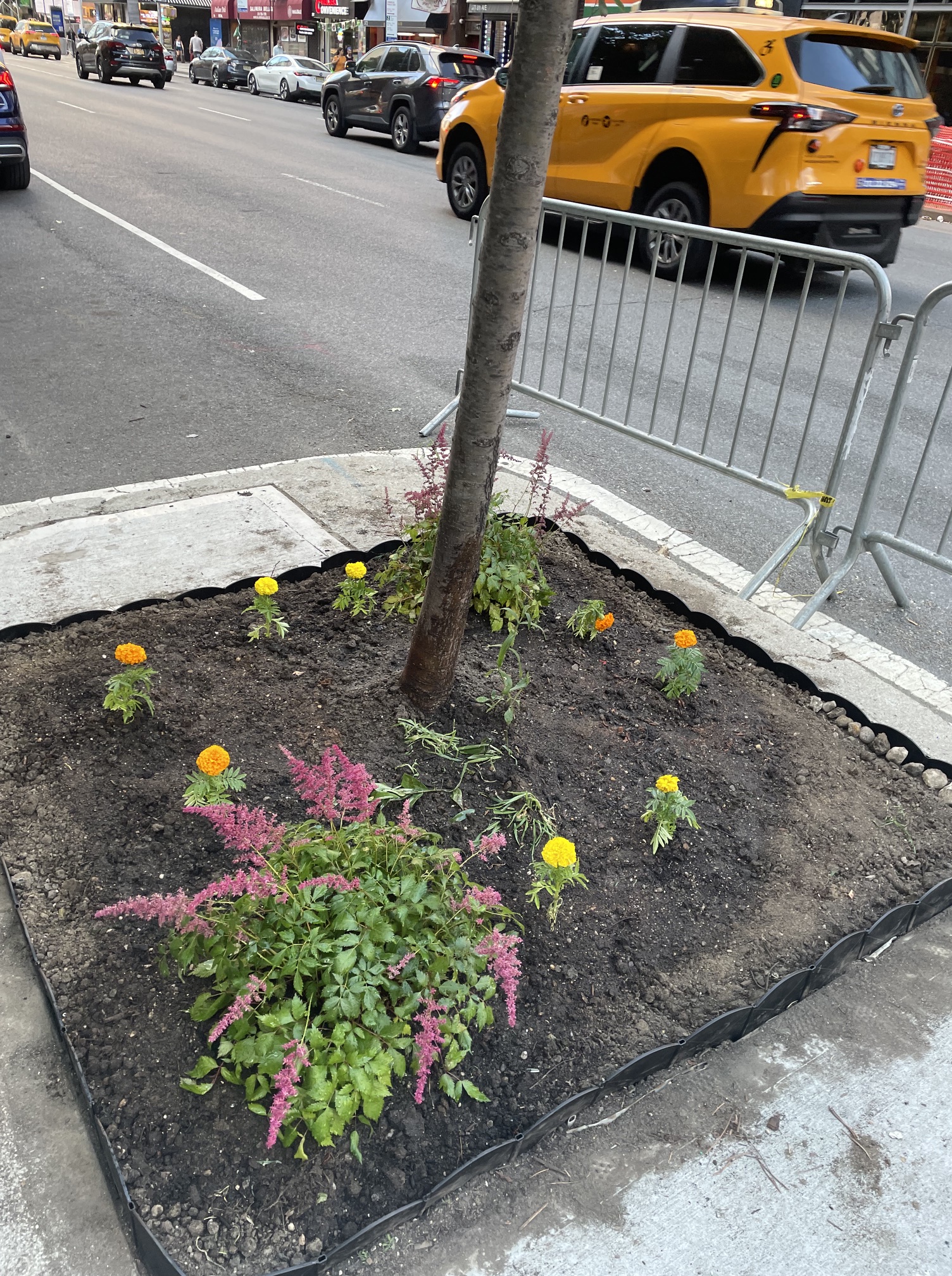 28th and 8th Northwest
